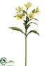 Silk Plants Direct Alstroemeria Spray - Yellow - Pack of 12