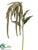 Amaranthus Spray - Green - Pack of 24