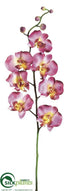 Silk Plants Direct Orchid Spray - Beauty Two Tone - Pack of 12