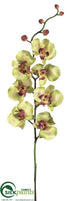 Silk Plants Direct Orchid Spray - Green Pink - Pack of 12