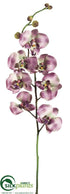 Silk Plants Direct Orchid Spray - Lavender Green - Pack of 12