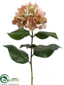 Hydrangea Spray - Green Lavender - Pack of 12