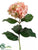 Hydrangea Spray - Pink Two Tone - Pack of 12