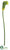 Calla Lily Spray - Green - Pack of 12