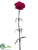Carnation Spray - Fuchsia - Pack of 12