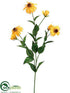 Silk Plants Direct Shasta Daisy Spray - Yellow Gold - Pack of 24