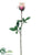 Silk Plants Direct Rose Bud Spray - Cream Beauty - Pack of 12