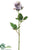 Panama Rose Bud Spray - White - Pack of 12