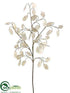 Silk Plants Direct Silver Dollar Spray - White - Pack of 12