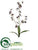 Dendrobium Orchid Spray - Purple Deep - Pack of 12