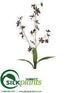 Silk Plants Direct Dendrobium Orchid Spray - Purple Deep - Pack of 12