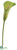 Calla Lily Spray - Green - Pack of 36