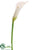 Calla Lily Spray - White - Pack of 12