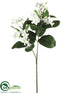 Silk Plants Direct Stephanotis Spray - White - Pack of 48