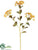 Achillea Spray - Gold Old - Pack of 12