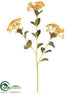 Silk Plants Direct Achillea Spray - Gold Old - Pack of 12