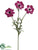 Anemone Spray - Fuchsia - Pack of 12