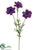 Anemone Spray - Purple - Pack of 12