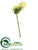 Anthurium Spray - Olive Green - Pack of 12