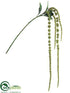 Silk Plants Direct Amaranthus Spray - Green - Pack of 24