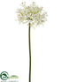 Silk Plants Direct Large Agapanthus Spray - Cream - Pack of 12