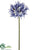 Large Agapanthus Spray - Lavender - Pack of 12