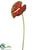 Large Anthurium Spray - Red Green - Pack of 12