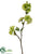 Apple Blossom Spray - Green - Pack of 12