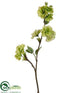 Silk Plants Direct Apple Blossom Spray - Green - Pack of 12