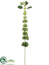 Silk Plants Direct Bells of Ireland Spray - Green - Pack of 12