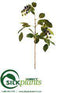 Silk Plants Direct Berry Hanging Spray - Burgundy Green - Pack of 12