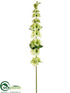 Silk Plants Direct Bells of Ireland Spray - Green - Pack of 12