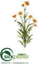 Silk Plants Direct Coreopsis Spray - Orange - Pack of 12