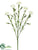 Carnation Spray - Cream White - Pack of 24