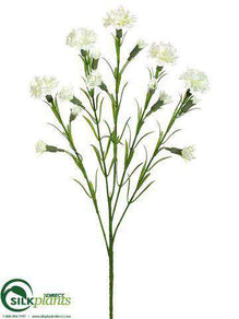 Carnation Spray - Cream White - Pack of 24