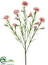 Silk Plants Direct Carnation Spray - Peach - Pack of 24