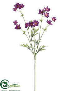 Cosmos Spray - Purple - Pack of 12
