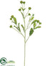 Silk Plants Direct Clover Spray - Green - Pack of 12