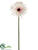 Gerbera Daisy Spray - Pink Light - Pack of 12