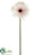 Gerbera Daisy Spray - Pink Light - Pack of 12