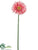 Gerbera Daisy Spray - Pink - Pack of 12