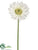 Gerbera Daisy Spray - White - Pack of 12