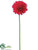 Gerbera Daisy Spray - Beauty Red - Pack of 12