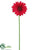 Gerbera Daisy Spray - Red - Pack of 12