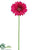 Gerbera Daisy Spray - Wine - Pack of 12