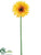 Gerbera Daisy Spray - Yellow - Pack of 12