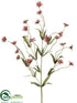 Silk Plants Direct Wild Daisy Spray - Burgundy - Pack of 12