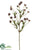 Wild Daisy Spray - Eggplant - Pack of 12