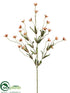 Silk Plants Direct Wild Daisy Spray - Rust - Pack of 12