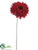 Spider Gerbera Daisy Spray - Red - Pack of 12